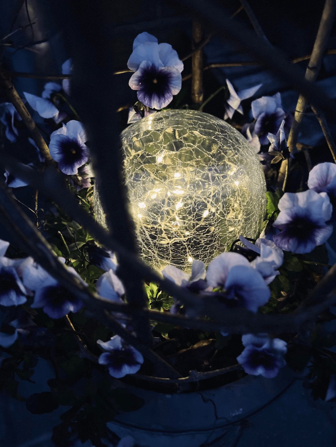 Boules en verre à LED solaires